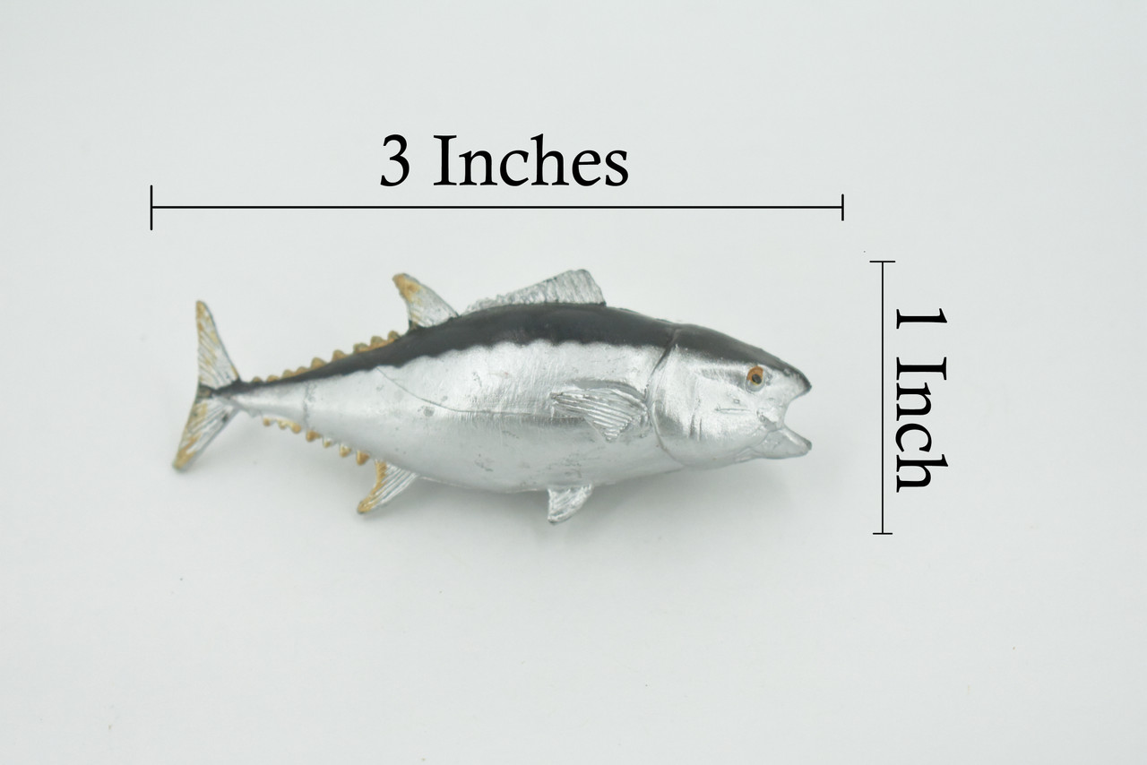 Fish, Bluefin Tuna, Atlantic,  Museum Quality, Hand Painted, Rubber fish, Educational, Realistic, Toy, Kids, Figure, Model, Educational, Gift,     3"      CH627 BB167