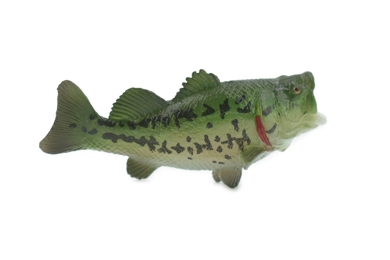 Fish, Largemouth Bass, Bigmouth, Black, Museum Quality, Hand Painted, Rubber, Educational, Realistic, Toy, Kids, Model, Educational, Gift,    3"    CH630 BB168