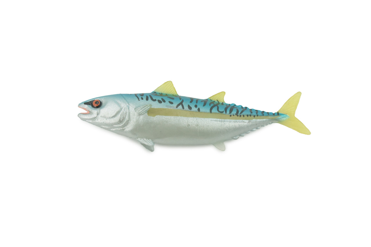 Fish, False albacore, Little tunny, Tuna, Bonita, Museum Quality, Hand Painted, Rubber, Educational, Realistic, Toy, Kids, Model, Educational, Gift,       4"    CH631 BB168