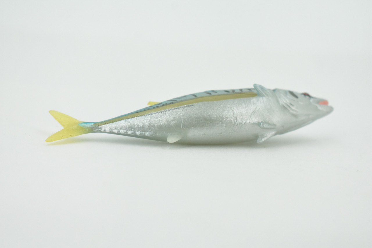 Fish, False albacore, Little tunny, Tuna, Bonita, Museum Quality, Hand Painted, Rubber, Educational, Realistic, Toy, Kids, Model, Educational, Gift,       4"    CH631 BB168