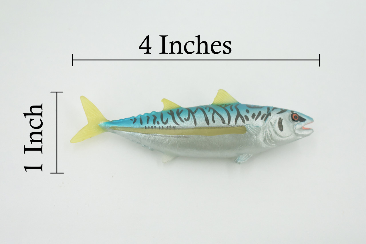 Fish, False albacore, Little tunny, Tuna, Bonita, Museum Quality, Hand Painted, Rubber, Educational, Realistic, Toy, Kids, Model, Educational, Gift,       4"    CH631 BB168