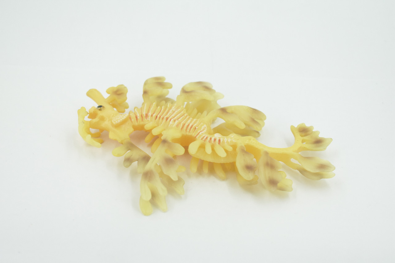 Sea Dragon, Pipefish, Weedy, Common, Seahorses, Museum Quality, Hand Painted, Rubber, Educational, Realistic, Toy, Kids, Educational, Gift,      6"     CH632 BB168