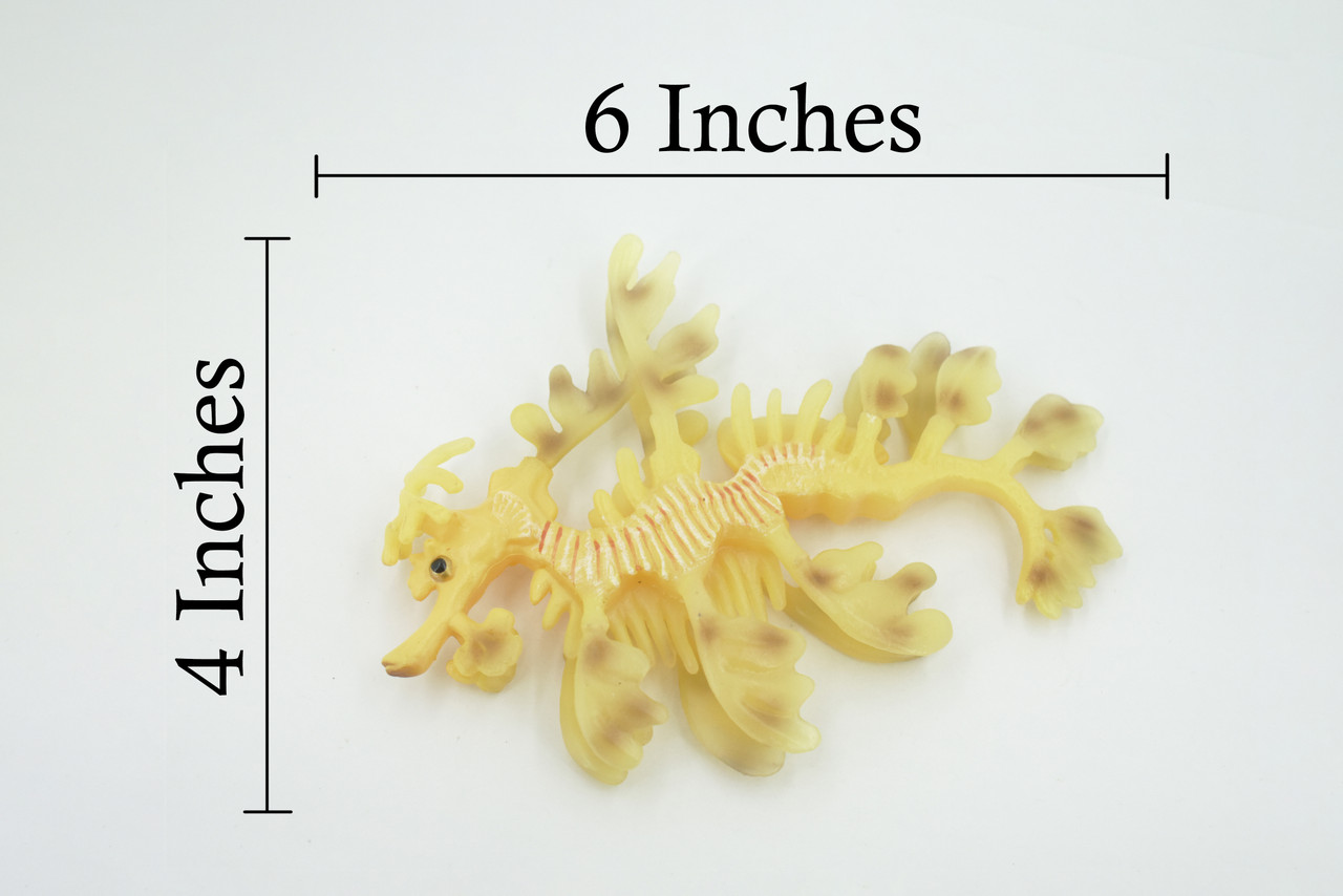 Sea Dragon, Pipefish, Weedy, Common, Seahorses, Museum Quality, Hand Painted, Rubber, Educational, Realistic, Toy, Kids, Educational, Gift,      6"     CH632 BB168