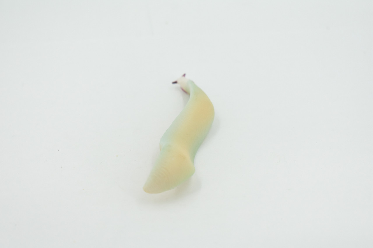 Pikaia, lancelet, Ell, Primitive, Cambrian chordates, Museum Quality, Hand Painted, Rubber, Educational, Realistic, Toy, Kids, Educational, Gift,      4"     CH634 BB168