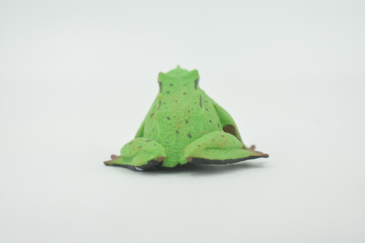 Frog, Darwin’s frog, Museum Quality, Hand Painted, Rubber Amphibian, Educational, Realistic, Figure, Model, Replica, Toy, Kids, Educational, Gift,    4"     CH635 BB168
