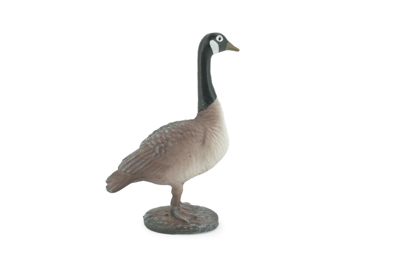 Bird, Canada Goose, Honker, Museum Quality, Hand Painted, Rubber, Educational, Realistic, Figure, Model, Replica, Toy, Kids, Educational, Gift,    3"   CH640 BB168 