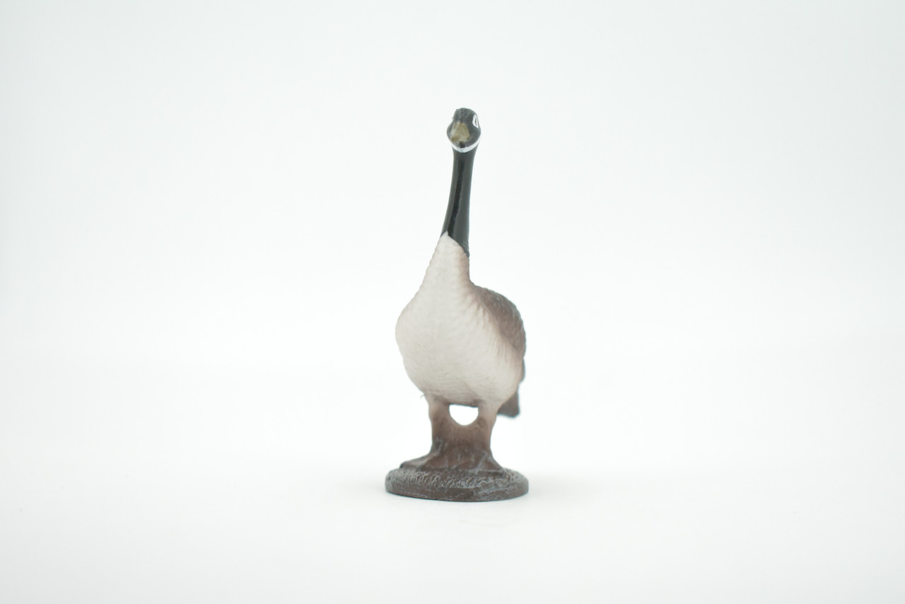 Bird, Canada Goose, Honker, Museum Quality, Hand Painted, Rubber, Educational, Realistic, Figure, Model, Replica, Toy, Kids, Educational, Gift,    3"   CH640 BB168 