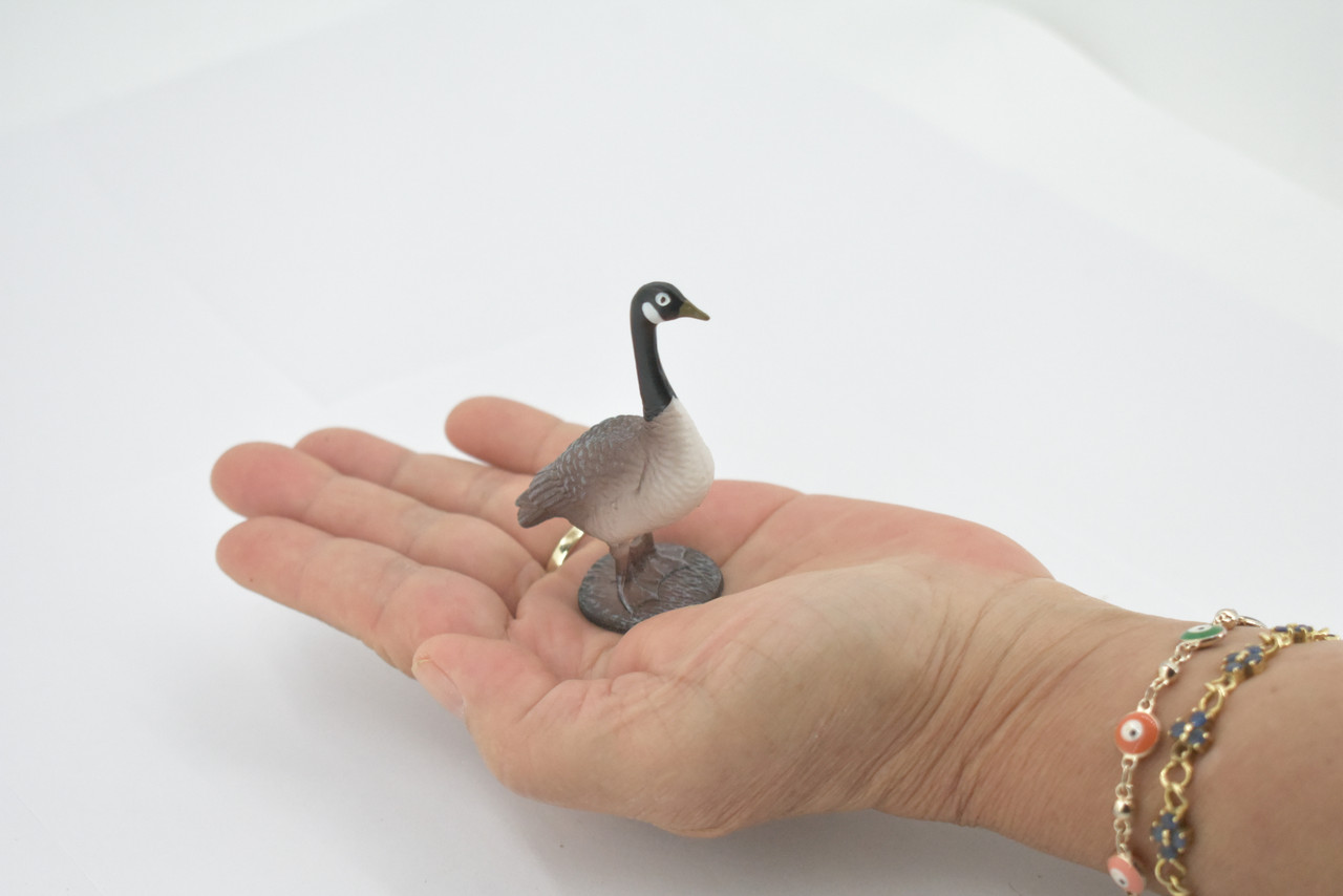 Bird, Canada Goose, Honker, Museum Quality, Hand Painted, Rubber, Educational, Realistic, Figure, Model, Replica, Toy, Kids, Educational, Gift,    3"   CH640 BB168 