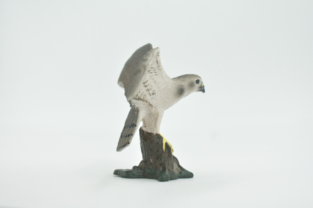 Bird, Falcon, Genus Falco, Peregrine, Museum Quality, Hand Painted, Rubber, Educational, Realistic, Figure, Replica, Toy, Kids, Educational, Gift,    3 1/2"   CH641 BB168 