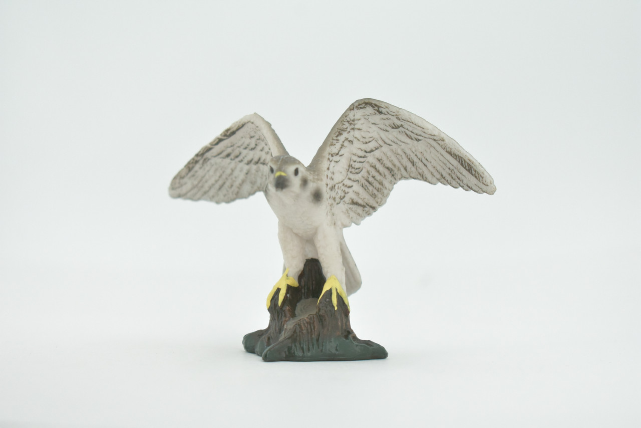 Bird, Falcon, Genus Falco, Peregrine, Museum Quality, Hand Painted, Rubber, Educational, Realistic, Figure, Replica, Toy, Kids, Educational, Gift,    3 1/2"   CH641 BB168 