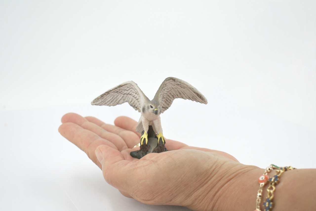 Bird, Falcon, Genus Falco, Peregrine, Museum Quality, Hand Painted, Rubber, Educational, Realistic, Figure, Replica, Toy, Kids, Educational, Gift,    3 1/2"   CH641 BB168 