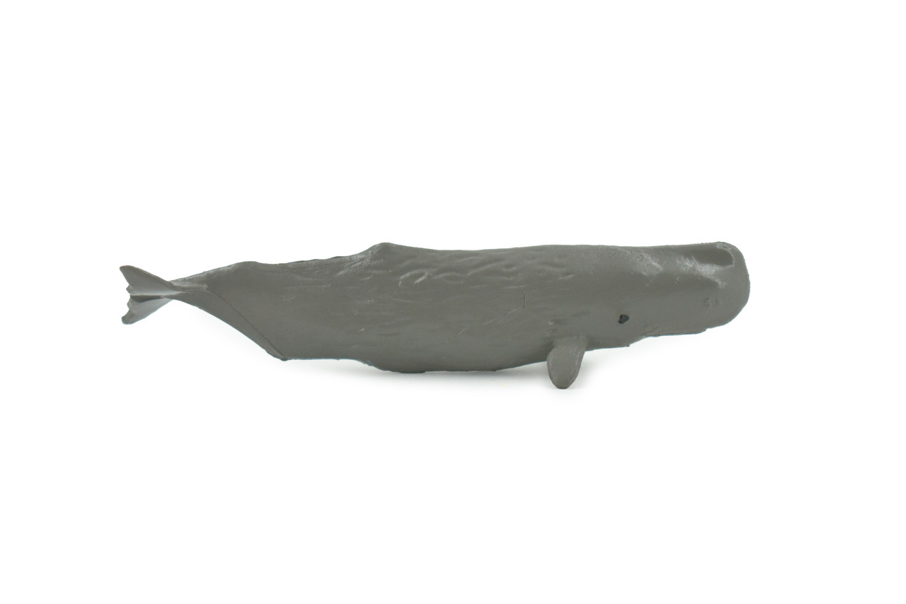 Whale, Sperm whale, High Quality, Hand Painted, Rubber, Pelagic Marine Mammal , Educational, Realistic, Figure, Toy, Kids, Educational, Gift,    3 1/2 "   CH643 BB168 