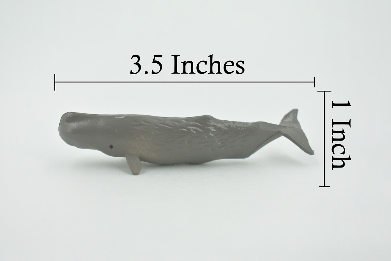 Whale, Sperm whale, High Quality, Hand Painted, Rubber, Pelagic Marine Mammal , Educational, Realistic, Figure, Toy, Kids, Educational, Gift,    3 1/2 "   CH643 BB168 