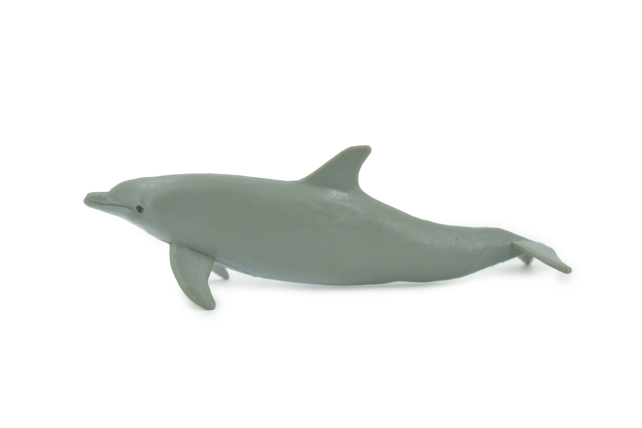 Dolphin, Porpoise, Bottlenose, Marine Mammal, High Quality, Hand Painted, Rubber, Realistic, Figure, Model, Toy, Kids, Educational, Gift,     4"    CH644 BB168