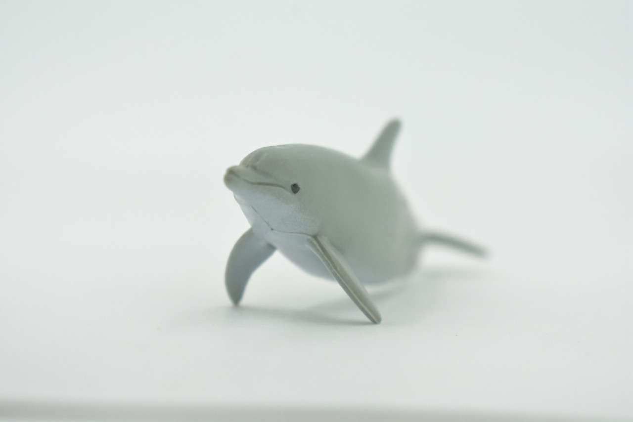 Dolphin, Porpoise, Bottlenose, Marine Mammal, High Quality, Hand Painted, Rubber, Realistic, Figure, Model, Toy, Kids, Educational, Gift,     4"    CH644 BB168