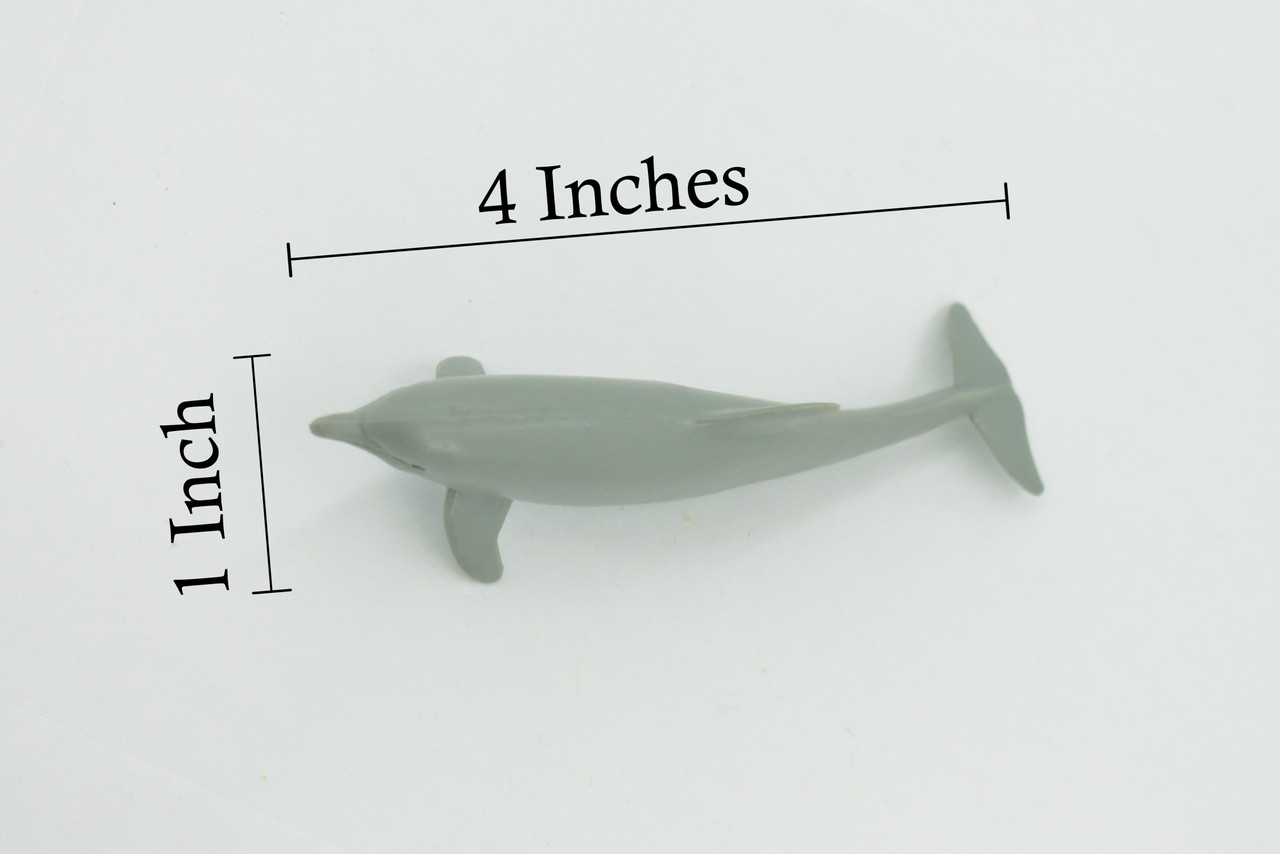 Dolphin, Porpoise, Bottlenose, Marine Mammal, High Quality, Hand Painted, Rubber, Realistic, Figure, Model, Toy, Kids, Educational, Gift,     4"    CH644 BB168