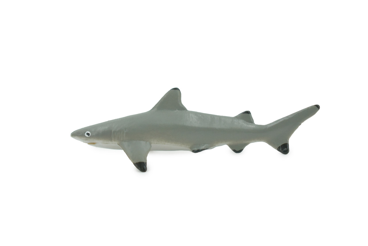 Shark, Black Tip Reef Shark, Marine Fish, High Quality, Hand Painted, Rubber, Realistic, Figure, Model, Toy, Kids, Educational, Gift,    3"    CH645 BB168