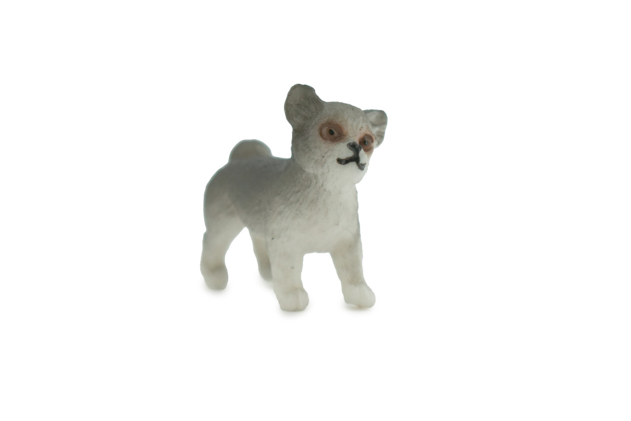 Dog, Husky Puppy, Siberian, Spitz, High Quality, Hand Painted, Rubber, Canine, Realistic, Figure, Model, Replica, Toy, Kids, Educational, Gift,    1"      CH649 BB169 