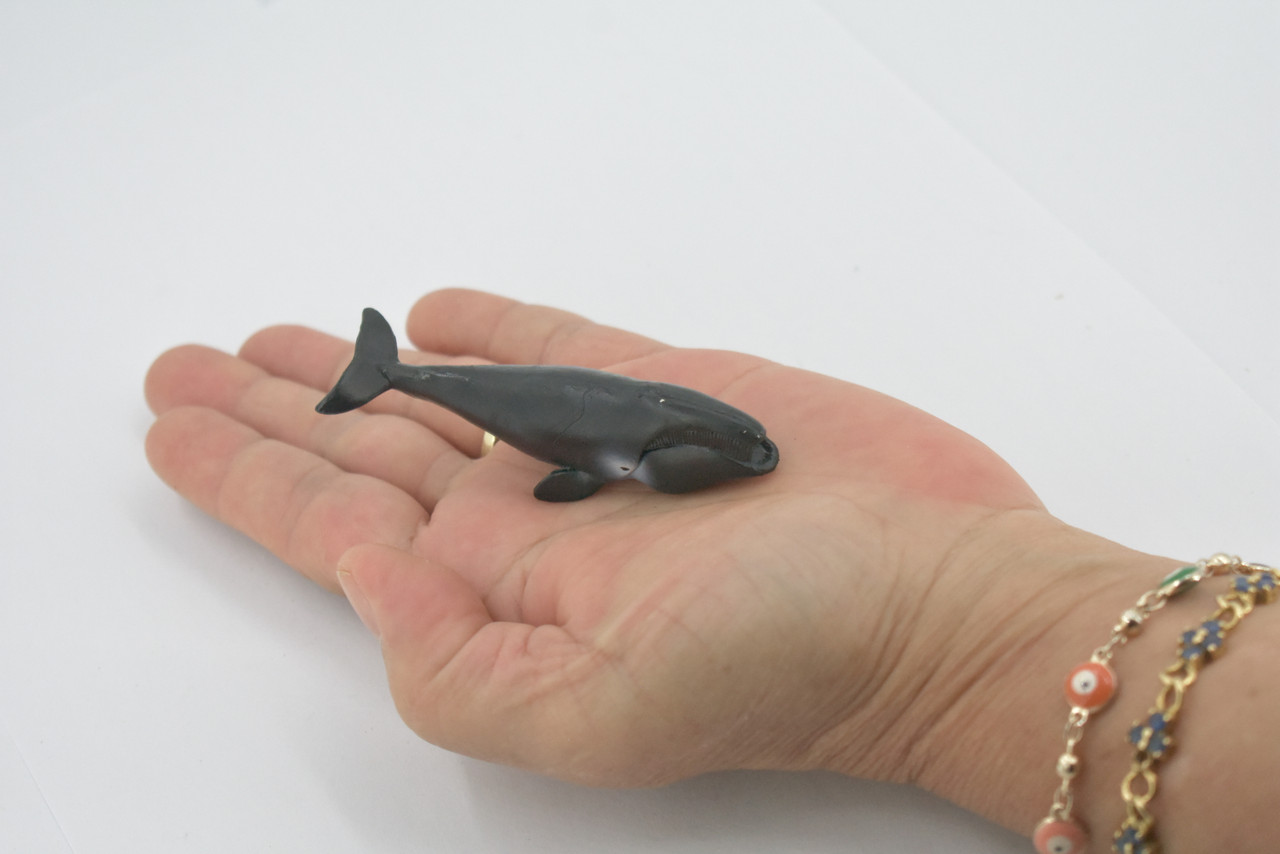 Whale, Right whales, Baleen, High Quality, Hand Painted, Rubber, Marine Mammal, Realistic, Figure, Model, Replica, Toy, Kids, Educational, Gift,     3"      CH656 BB169