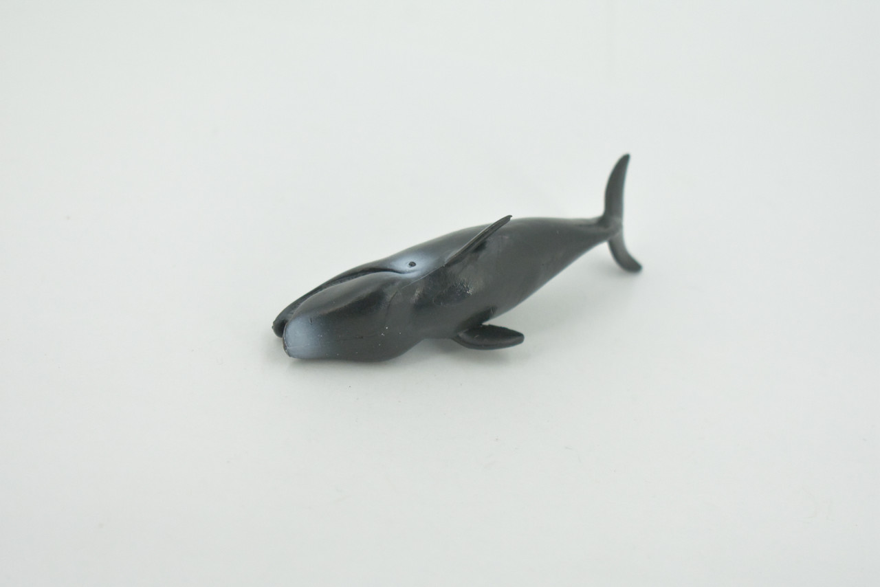 Whale, Right whales, Baleen, High Quality, Hand Painted, Rubber, Marine Mammal, Realistic, Figure, Model, Replica, Toy, Kids, Educational, Gift,     3"      CH656 BB169