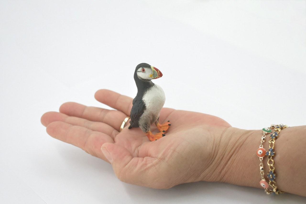 Bird, Puffin, Auks,  Pelagic seabirds, Museum Quality, Rubber, Hand Painted, Realistic Toy Figure, Model, Replica, Kids, Educational, Gift,     3"     CH666 BB169