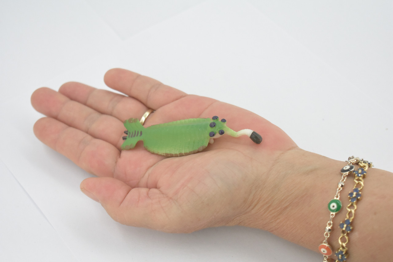 Opabinia, Prehistoric, Extinct,Arthropods, High Quality, Rubber, Amphibian, Hand Painted, Realistic Toy Figure, Model, Kids, Educational, Gift,  3 1/2"   CH668 BB169