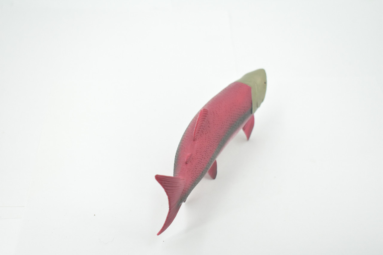 Fish, Coho, Silver Salmon, Spawning, Salmonidae, Museum Quality, Hand Painted, Realistic, Rubber, Figure, Model, Toy, Kids, Educational, Gift,     6 1/2"   CH669 BB170