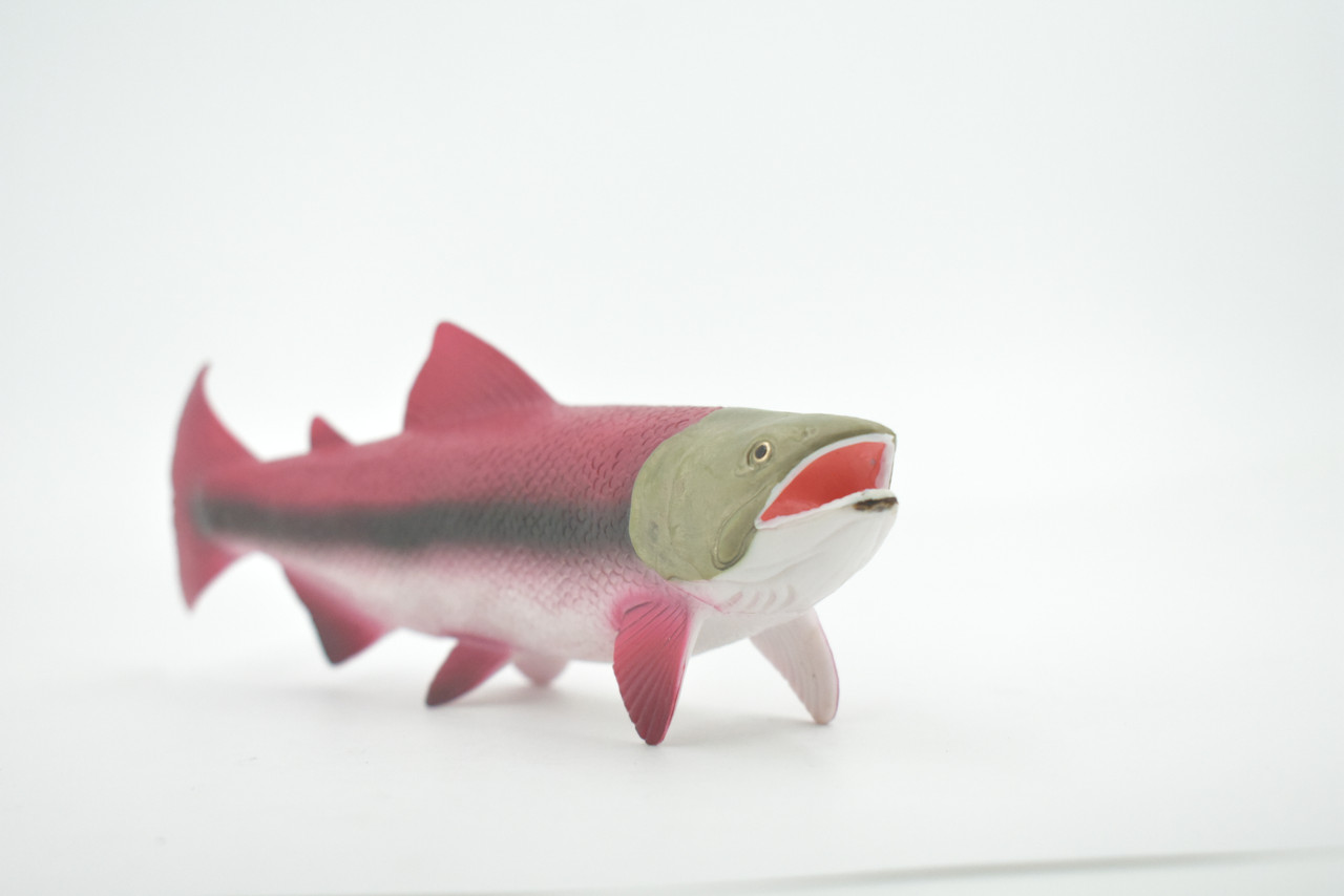 Fish, Coho, Silver Salmon, Spawning, Salmonidae, Museum Quality, Hand Painted, Realistic, Rubber, Figure, Model, Toy, Kids, Educational, Gift,     6 1/2"   CH669 BB170