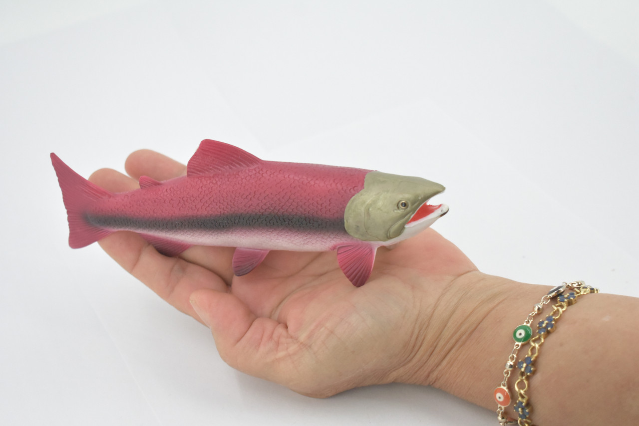 Fish, Coho, Silver Salmon, Spawning, Salmonidae, Museum Quality, Hand Painted, Realistic, Rubber, Figure, Model, Toy, Kids, Educational, Gift,     6 1/2"   CH669 BB170