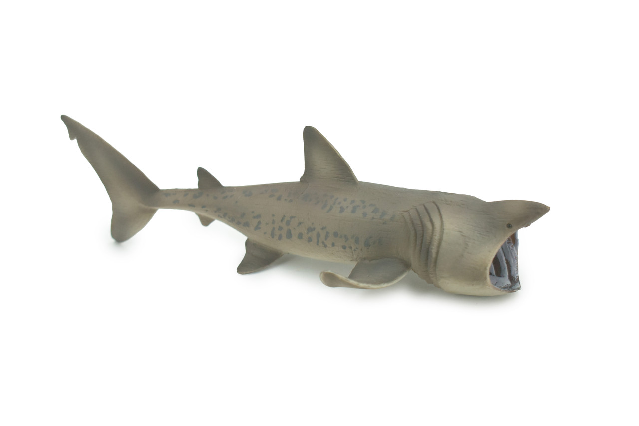 Basking Shark, Museum Quality, Hand Painted, Realistic, Rubber Fish, Figure, Model, Toy, Kids, Educational, Gift,     8 1/2"   CH670 BB170