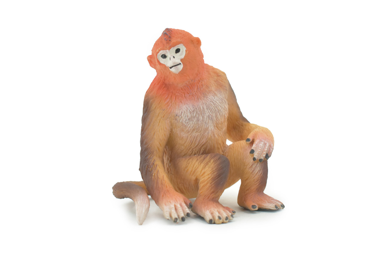 Monkey, Golden monkey, Primate, Museum Quality, Hand Painted, Realistic, Rubber, Figure, Model, Toy, Kids, Educational, Gift,      3 1/2"      CH672 BB170 