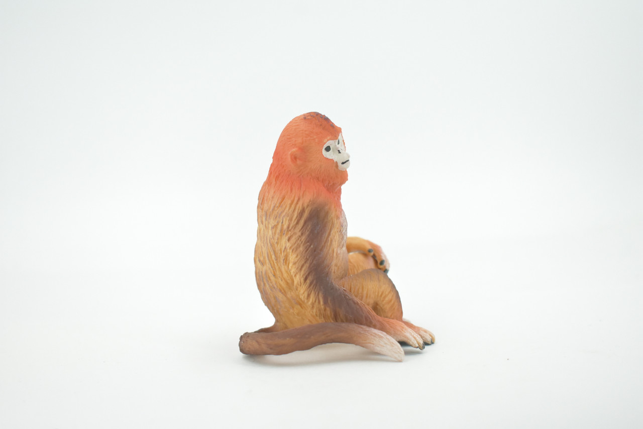 Monkey, Golden monkey, Primate, Museum Quality, Hand Painted, Realistic, Rubber, Figure, Model, Toy, Kids, Educational, Gift,      3 1/2"      CH672 BB170 