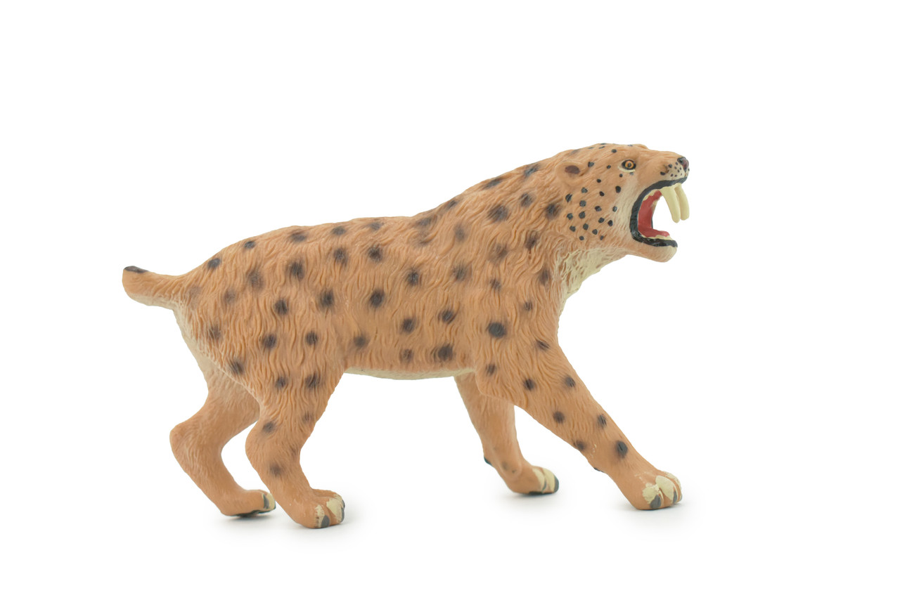 Saber Tooth Cat, Tiger, Museum Quality, Hand Painted, Realistic, Rubber, Animal, Figure, Model, Toy, Kids, Educational, Gift,     5"      CH675 BB171