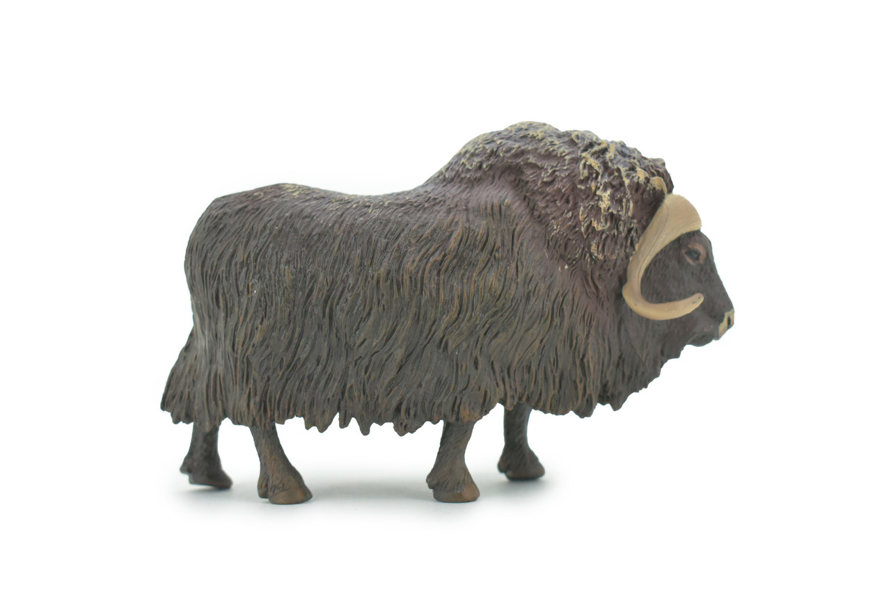 Muskox, musk ox, muskoxen, Museum Quality, Hand Painted, Realistic, Rubber, Animal, Figure, Model, Toy, Kids, Educational, Gift,     5"      CH676 BB171