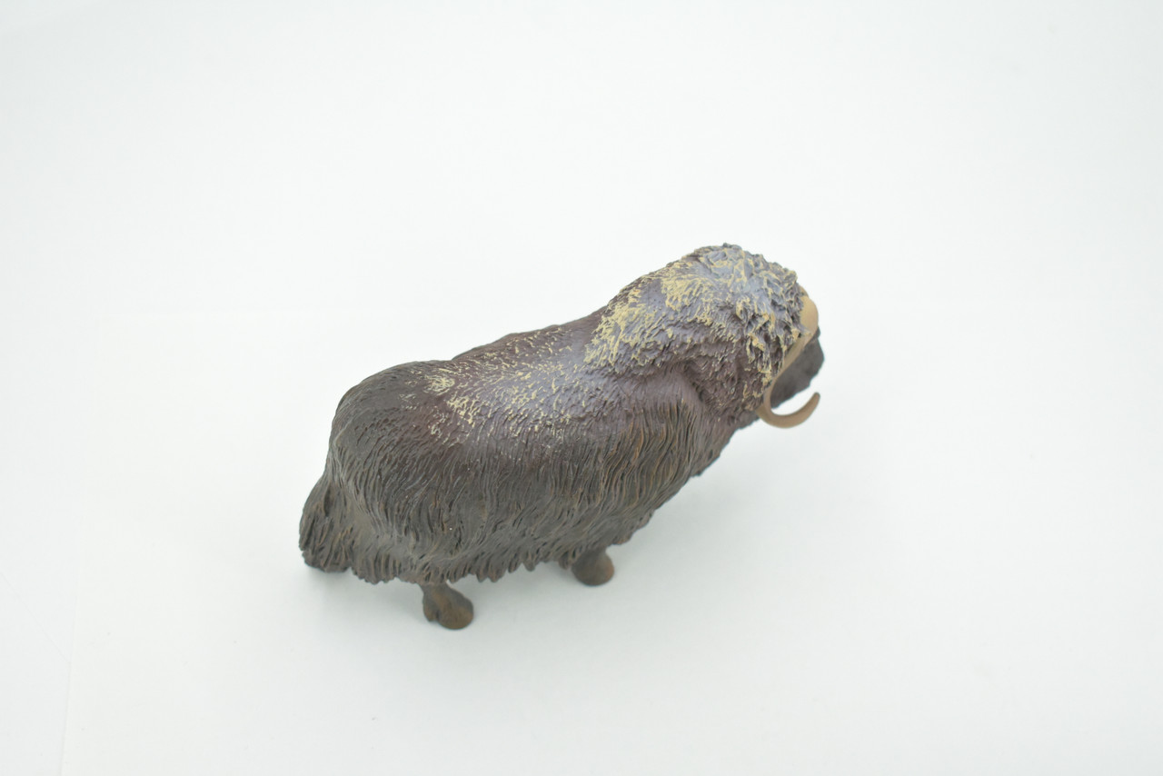 Muskox, musk ox, muskoxen, Museum Quality, Hand Painted, Realistic, Rubber, Animal, Figure, Model, Toy, Kids, Educational, Gift,     5"      CH676 BB171