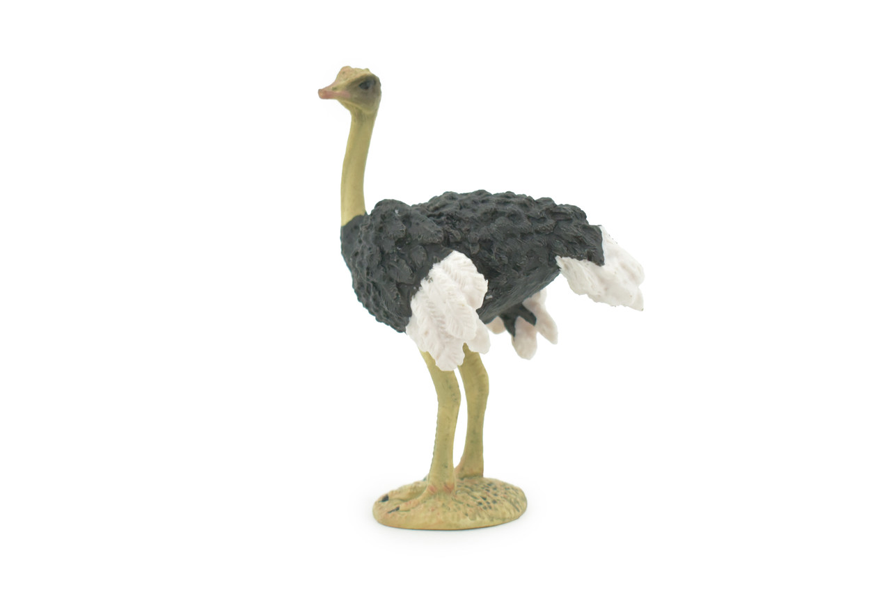 Bird, Ostrich, Museum Quality, Hand Painted, Realistic, Rubber, Figure, Model, Toy, Kids, Educational, Gift,       4"       CH679 BB172 