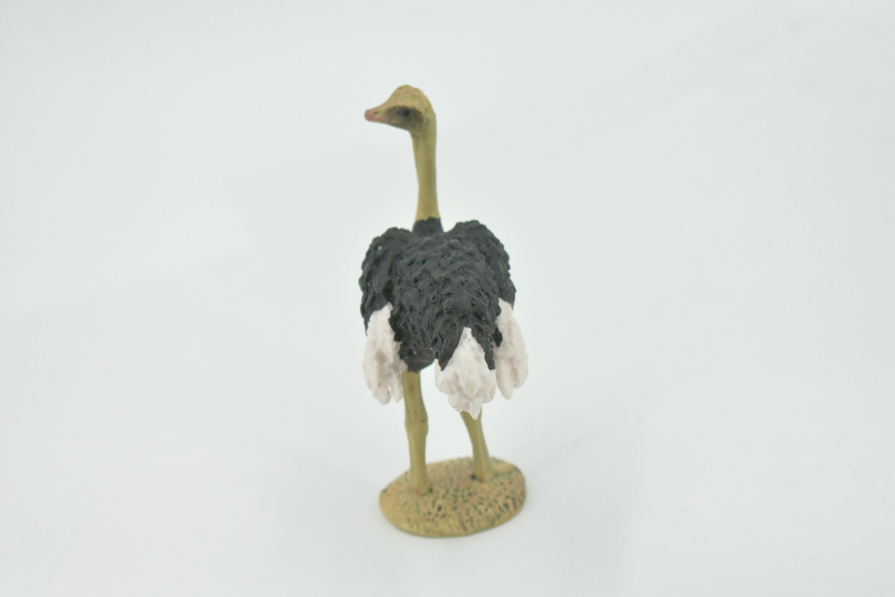 Bird, Ostrich, Museum Quality, Hand Painted, Realistic, Rubber, Figure, Model, Toy, Kids, Educational, Gift,       4"       CH679 BB172 