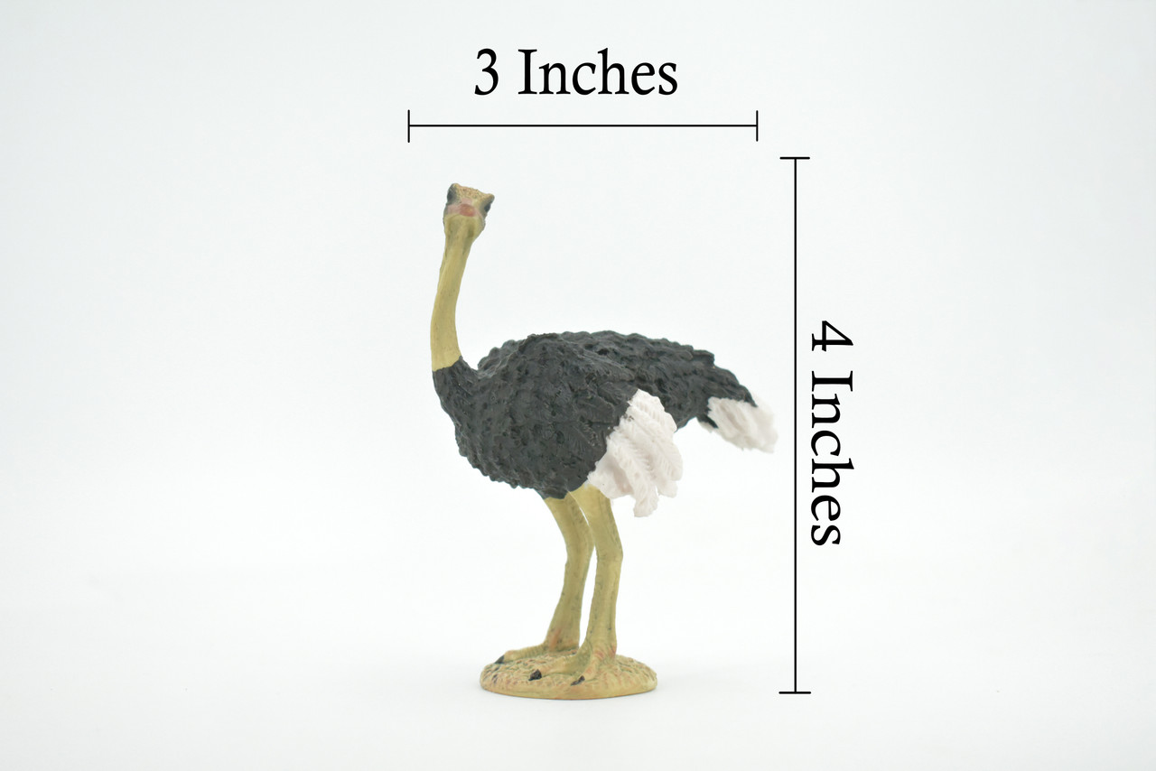 Bird, Ostrich, Museum Quality, Hand Painted, Realistic, Rubber, Figure, Model, Toy, Kids, Educational, Gift,       4"       CH679 BB172 