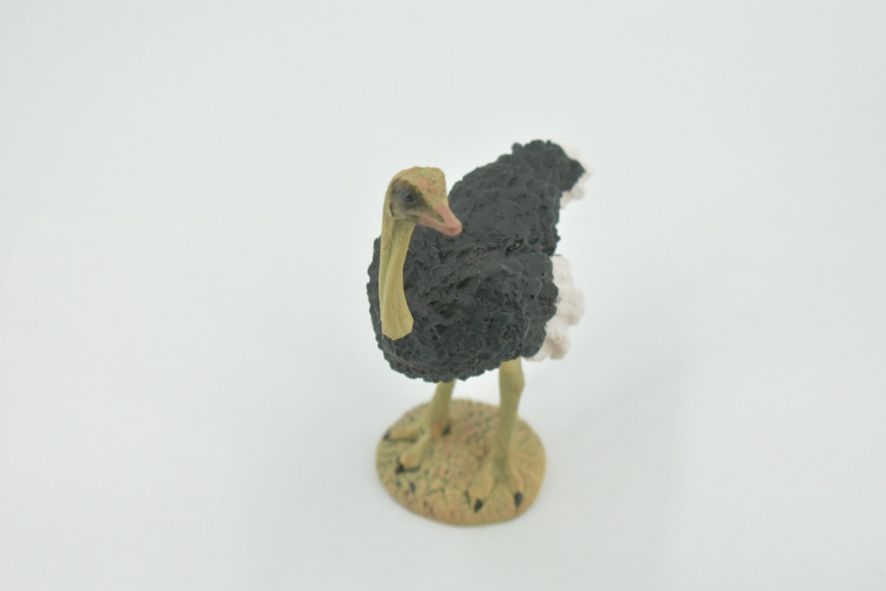 Bird, Ostrich, Museum Quality, Hand Painted, Realistic, Rubber, Figure, Model, Toy, Kids, Educational, Gift,       4"       CH679 BB172 