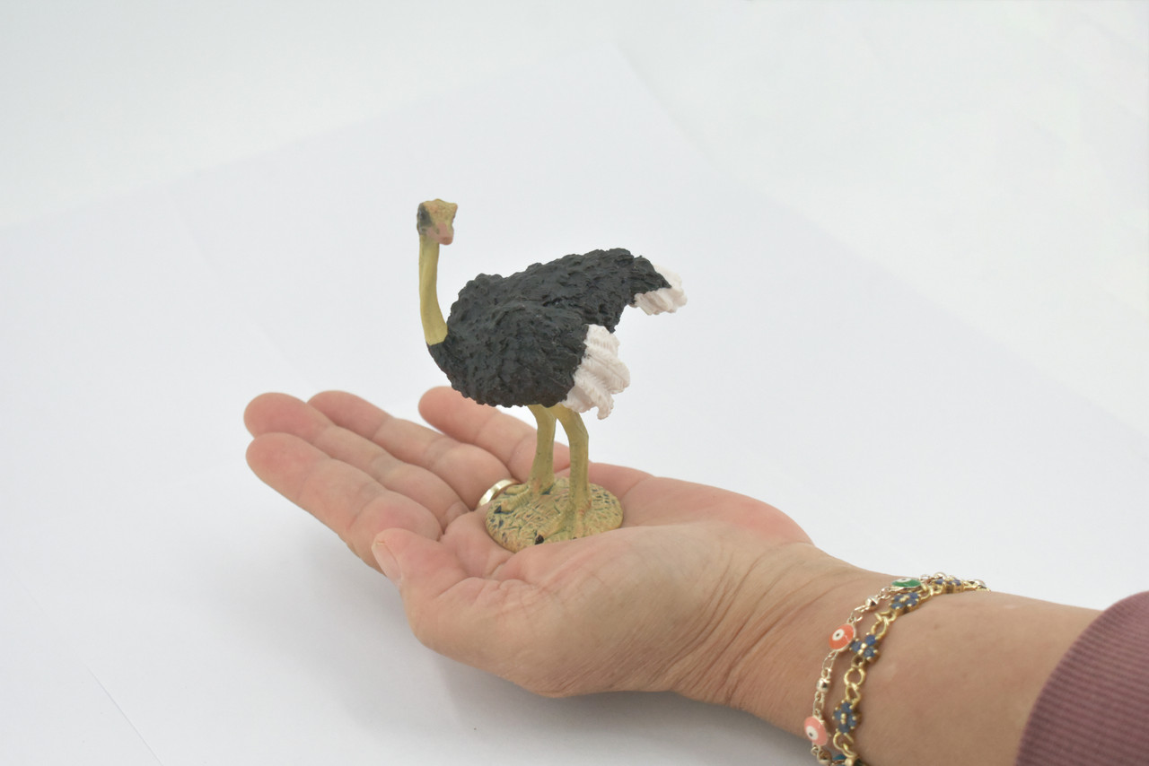 Bird, Ostrich, Museum Quality, Hand Painted, Realistic, Rubber, Figure, Model, Toy, Kids, Educational, Gift,       4"       CH679 BB172 