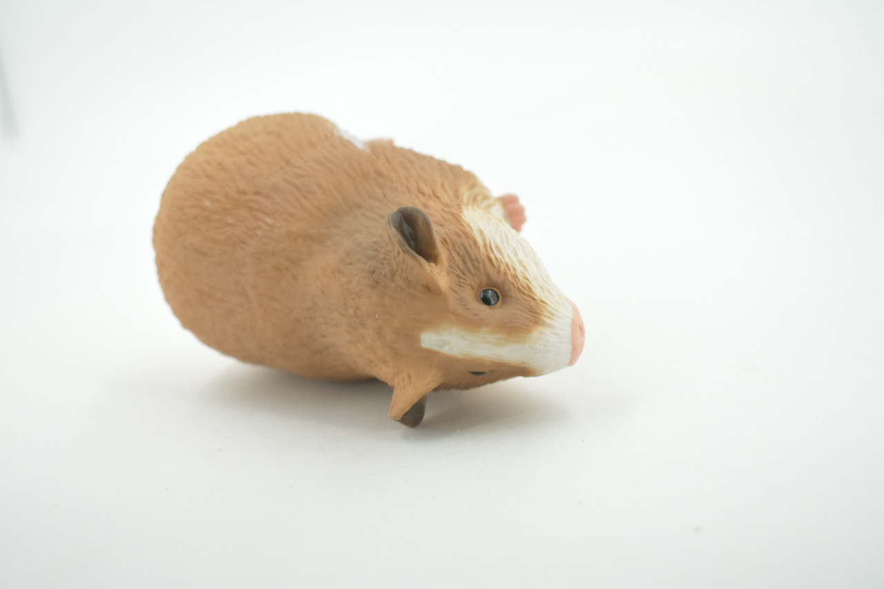 Guinea Pig, Domesticated Rodent, High Quality, Rubber Animal, Hand Painted, Realistic, Toy, Figure, Model, Replica, Kids, Educational, Gift,      4 1/ 2 "     CH680 BB172