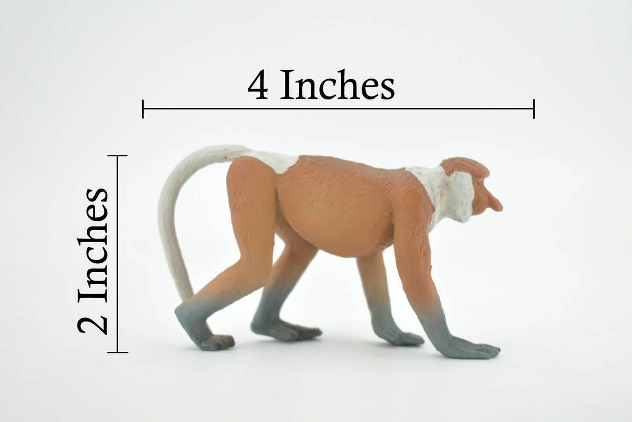 Monkey, Proboscis, Long Nosed, Primate, Museum Quality, Hand Painted, Rubber Animal, Educational, Realistic, Figure, Toy, Kids, Replica, Gift,        4"     CH682 BB172