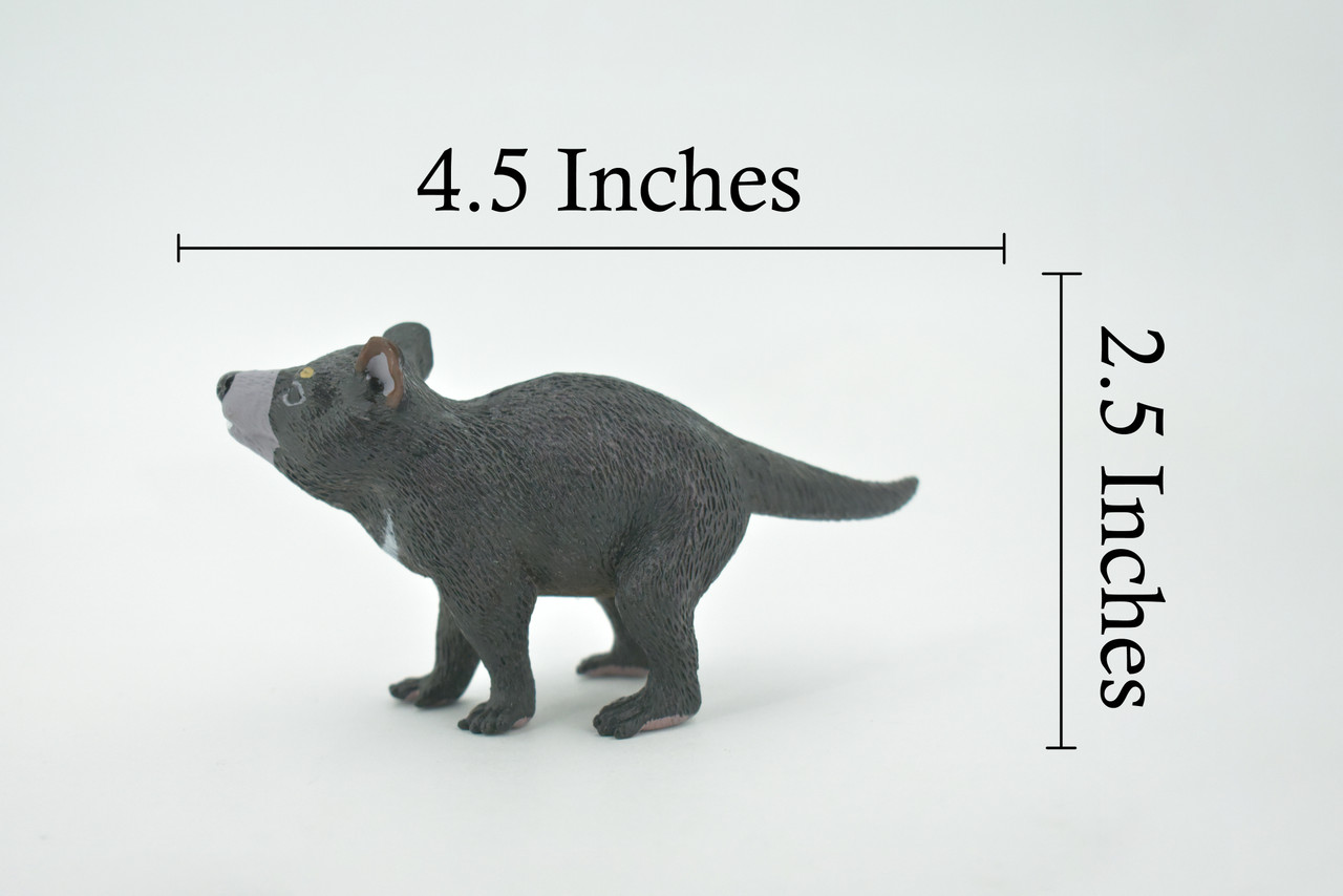 Tasmanian Devil, Marsupial, Museum Quality, Hand Painted, Rubber Animal, Educational, Realistic, Figure, Toy, Kids, Replica, Gift,        4"     CH683 BB172