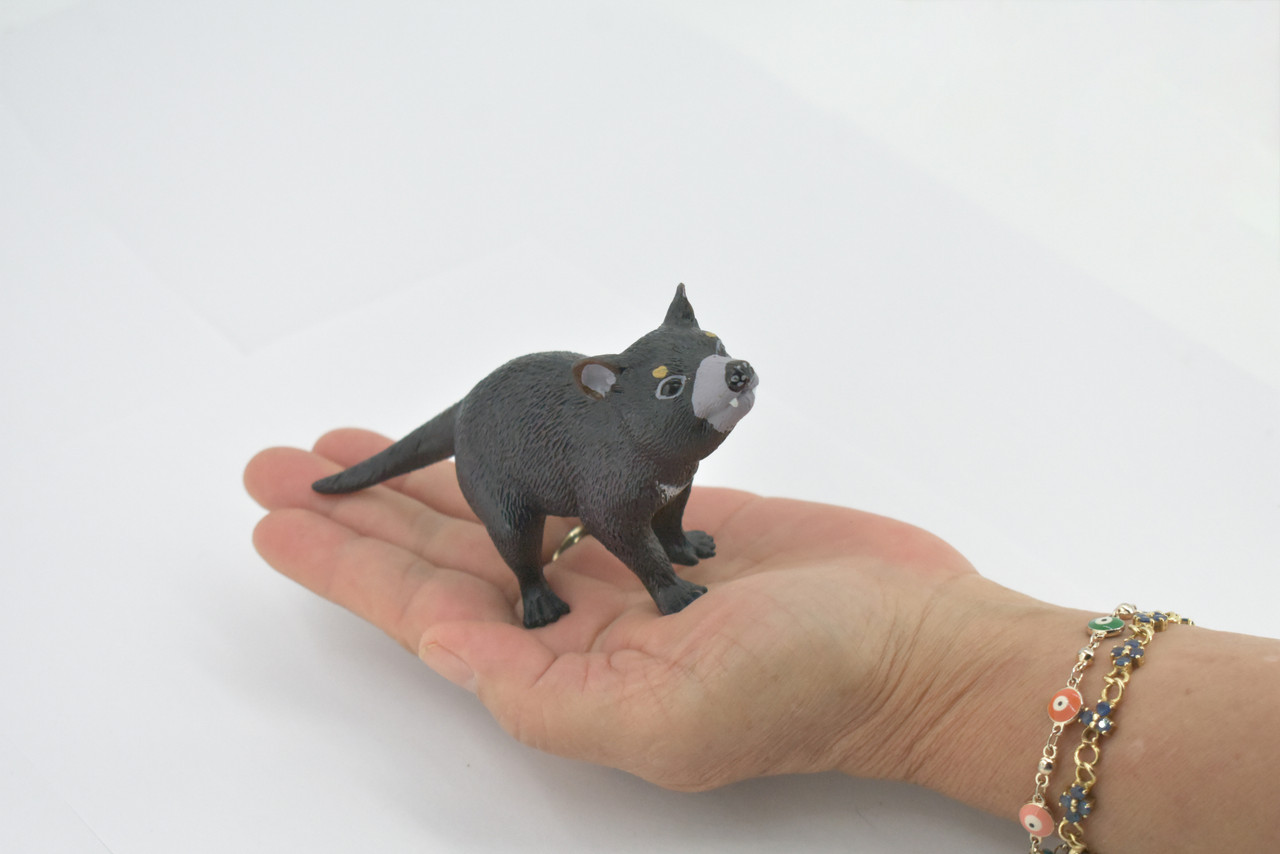 Tasmanian Devil, Marsupial, Museum Quality, Hand Painted, Rubber Animal, Educational, Realistic, Figure, Toy, Kids, Replica, Gift,        4"     CH683 BB172