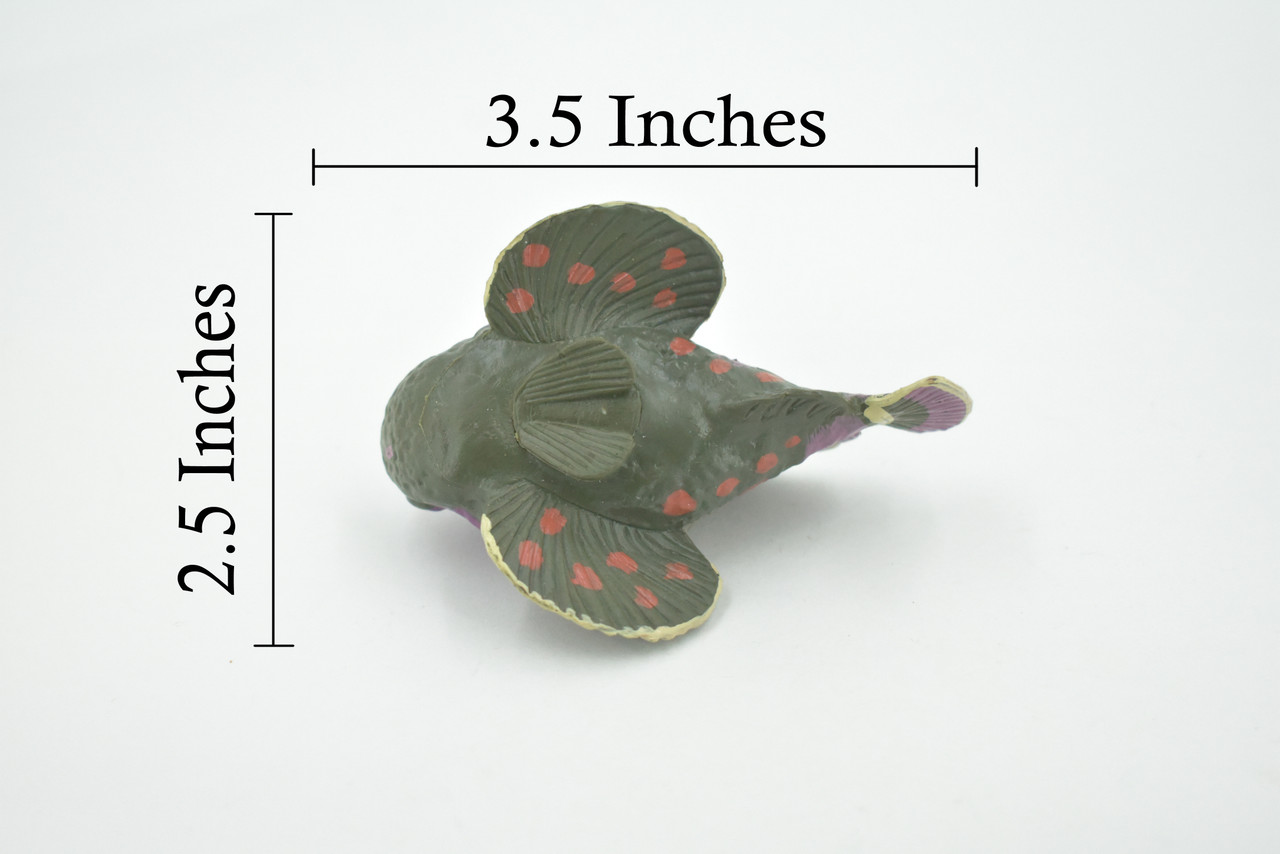 Stone Fish, Stonefish, Museum Quality, Hand Painted, Rubber Fish, Educational, Realistic, Lifelike, Figurine, Toy, Kids, Replica, Educational,  Gift,      3 1/2"    CH684 BB172