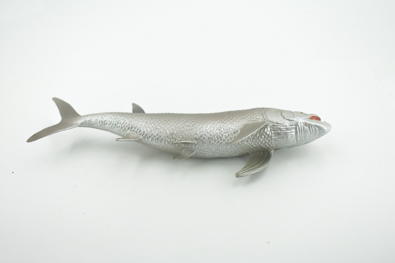 Xiphactinus, Extinct Fish, Fanged Tarpon, Museum Quality, Hand Painted, Rubber Fish, Educational, Realistic, Lifelike, Figurine, Toy, Kids, Gift,      6"    CH685 BB172
