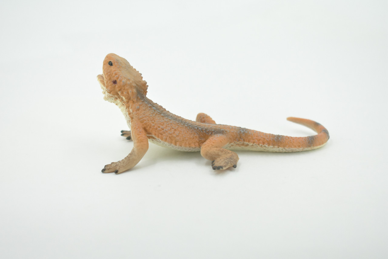 Lizard, Bearded Dragon, Pogona, Reptile, Museum Quality, Hand Painted, Rubber, Educational, Realistic, Lifelike, Toy, Kids, Gift,    5"    CH686 BB172