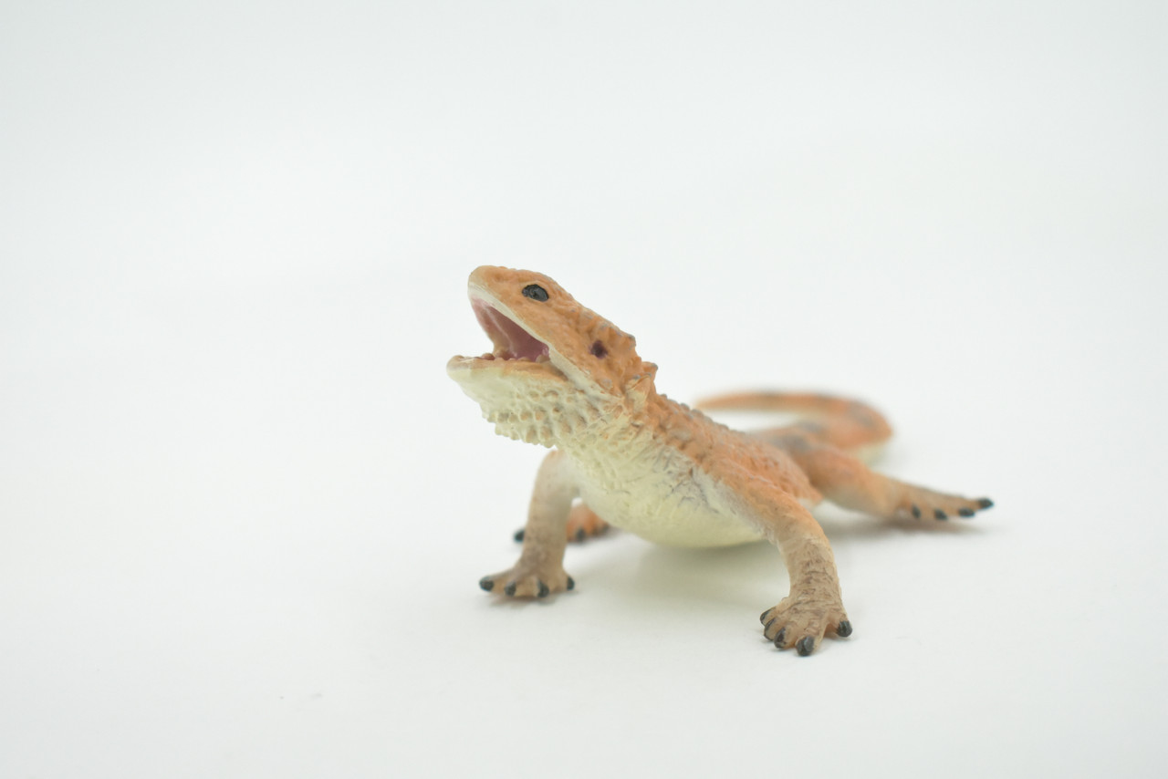 Lizard, Bearded Dragon, Pogona, Reptile, Museum Quality, Hand Painted, Rubber, Educational, Realistic, Lifelike, Toy, Kids, Gift,    5"    CH686 BB172