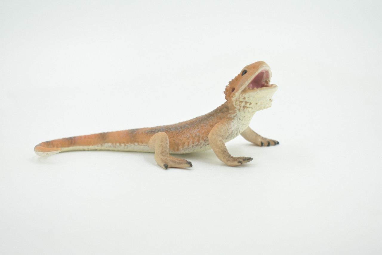 Lizard, Bearded Dragon, Pogona, Reptile, Museum Quality, Hand Painted, Rubber, Educational, Realistic, Lifelike, Toy, Kids, Gift,    5"    CH686 BB172