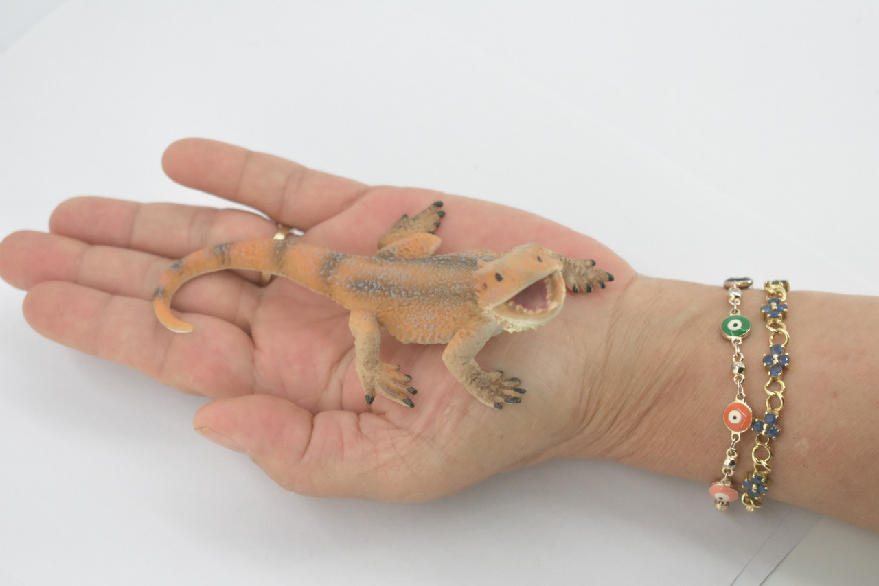 Lizard, Bearded Dragon, Pogona, Reptile, Museum Quality, Hand Painted, Rubber, Educational, Realistic, Lifelike, Toy, Kids, Gift,    5"    CH686 BB172